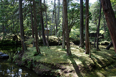 京都　西芳寺（苔寺）・その2_b0059664_18202196.jpg