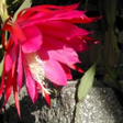 f0256164_10273745.png