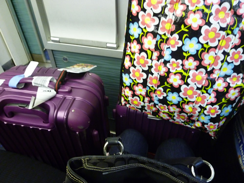 CHINA AIRLINES ホノルル→成田便の機内食_c0152767_2171997.jpg