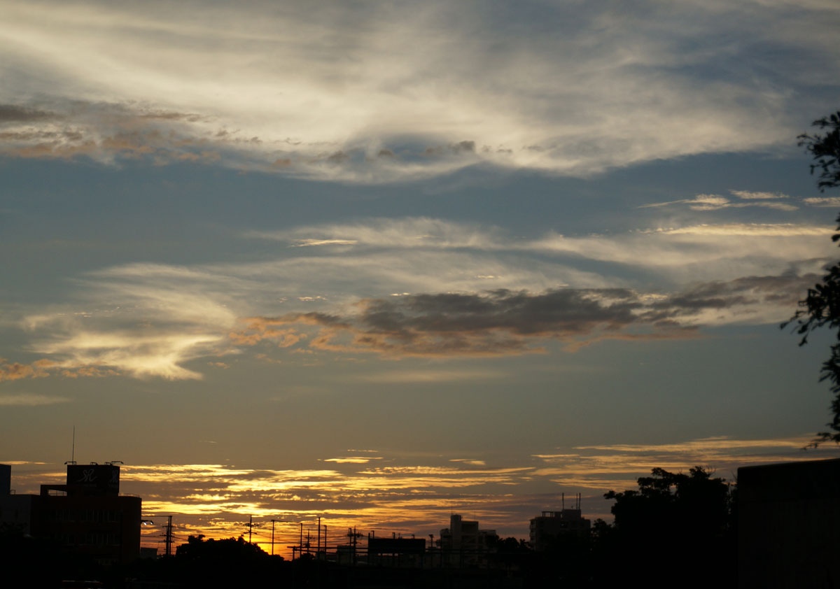 a0095470_23124785.jpg
