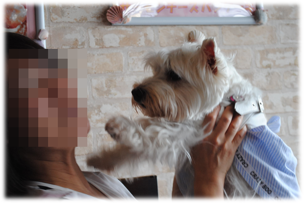 b0242873_01574962.png