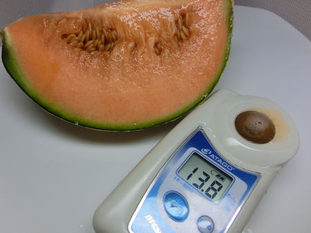 マルセイユメロン 飲食万歳 マルセイユメロン 飲食万歳