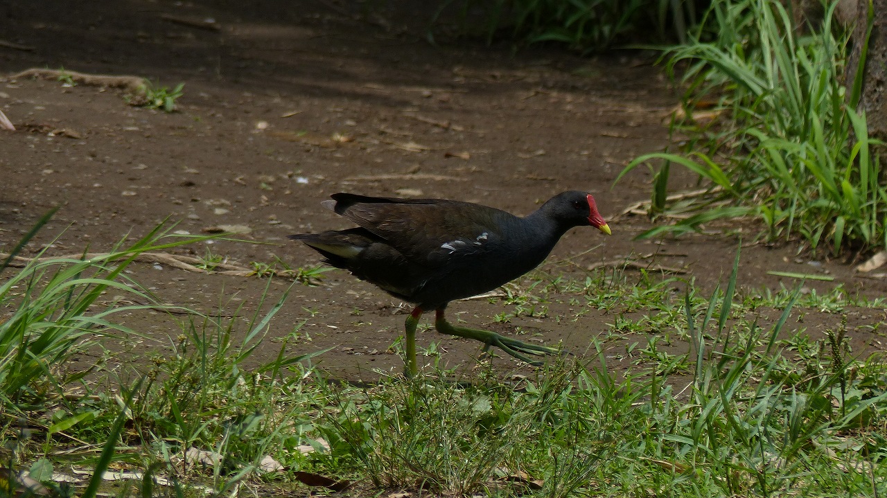 a0185081_12348.jpg