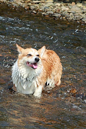 お天気がいい日曜日は何する？_b0307182_18045662.jpg