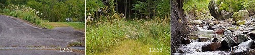 c0324983_23000401.jpg