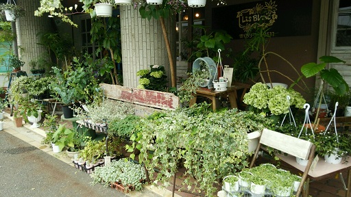 e0197983_23472734.jpg