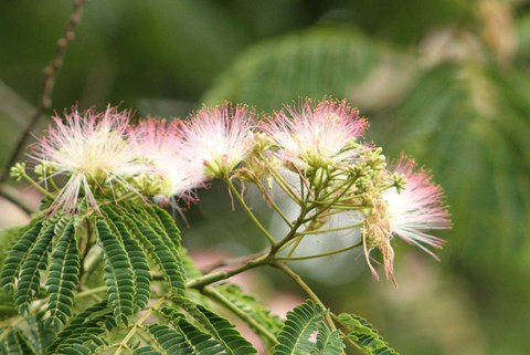 e0197884_21453943.jpg