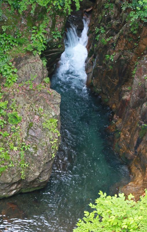 f0000789_21817.jpg