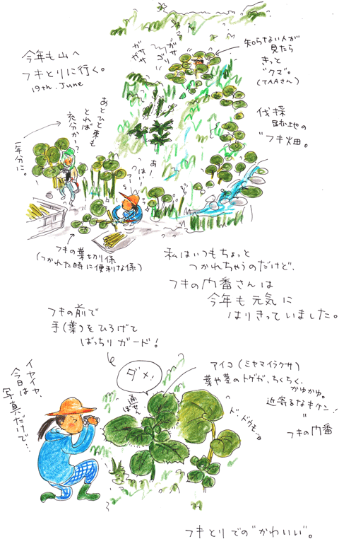 f0236291_1292850.gif