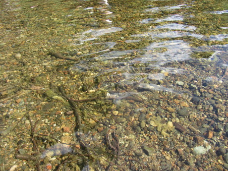 d0182292_02165726.jpg