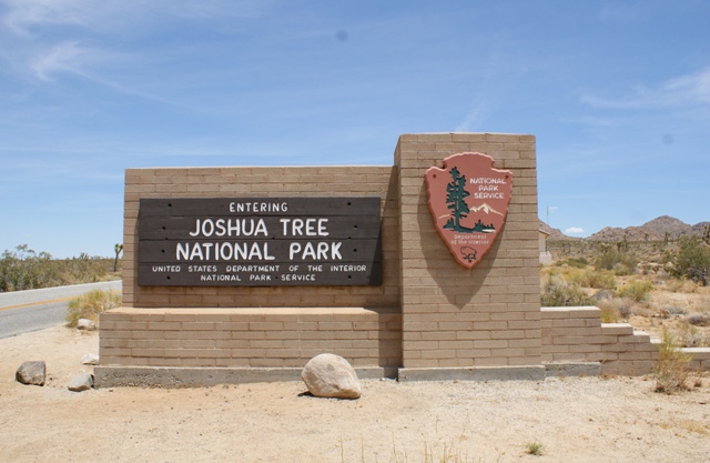 e0161692_8104528.jpg