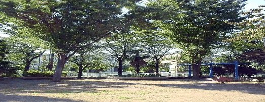 杉並区和泉 ◇一本橋公園◇_f0322193_925314.jpg