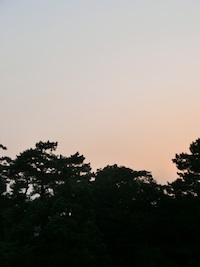 b0139996_22344549.jpg