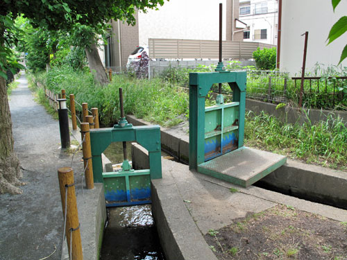 鈴木用水(玉川上水鈴木新田分水)(1)田無用水との分岐点から鈴木稲荷まで_c0163001_1114439.jpg