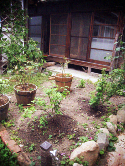 d0077603_12563127.jpg