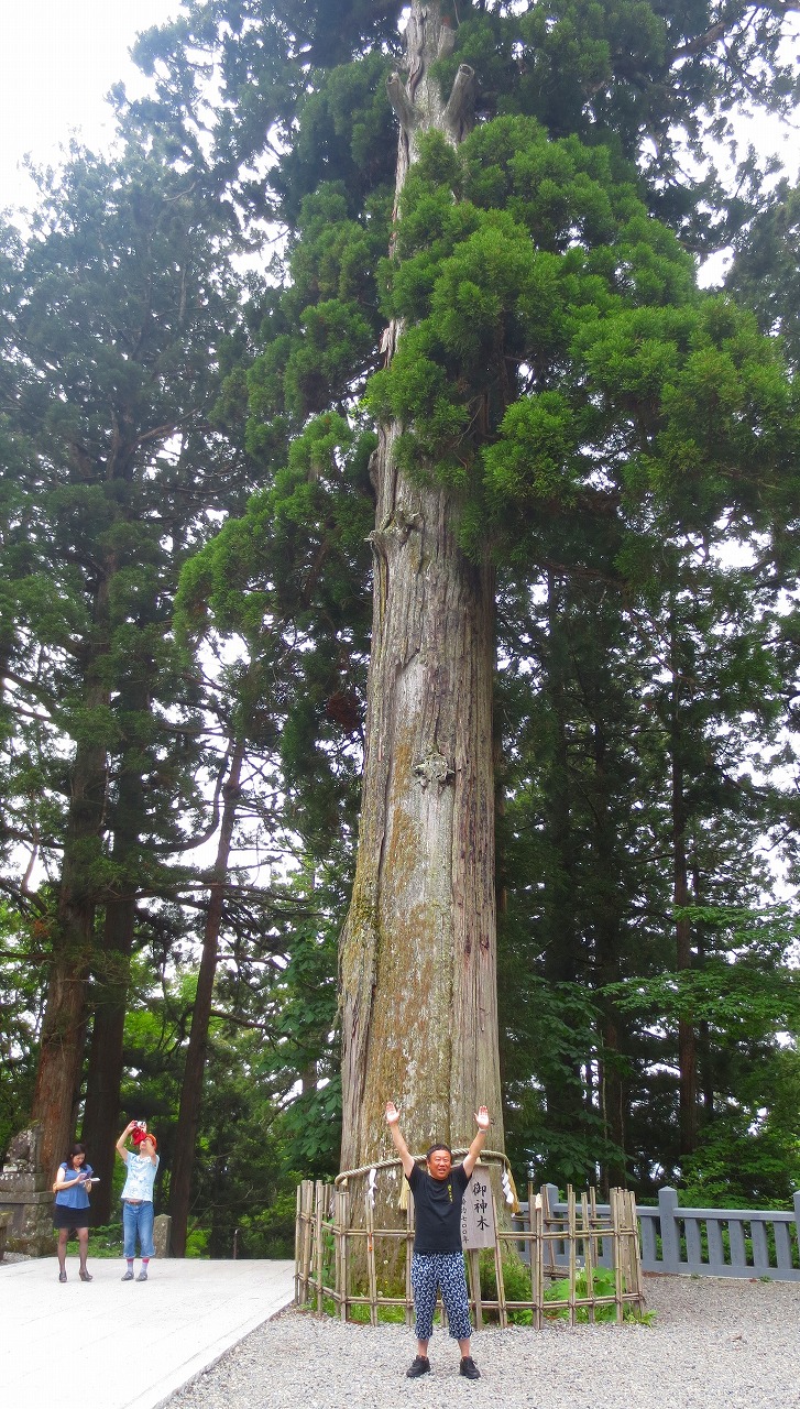 戸隠神社中社_b0163804_817480.jpg