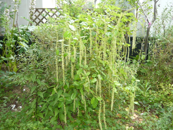 a0139007_18070266.jpg