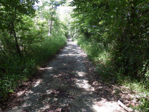 f0219710_17561640.jpg