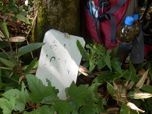 f0219710_1802667.jpg