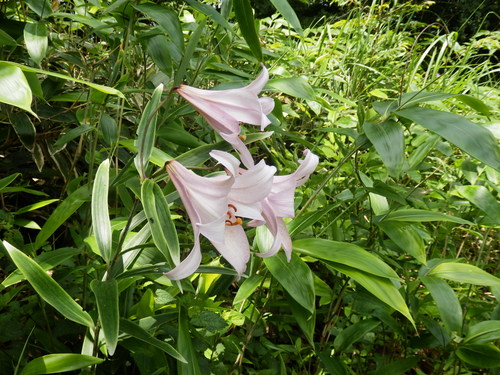 f0219710_18162598.jpg