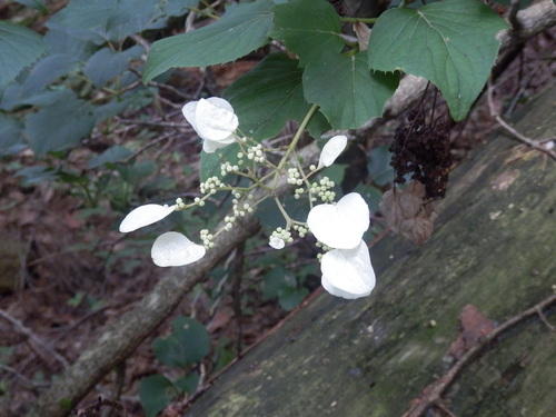 f0219710_1822188.jpg