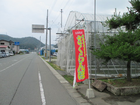 b0183111_759205.jpg