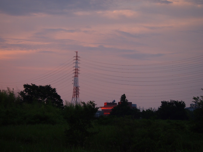 d0048812_8305526.jpg
