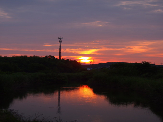 d0048812_8312230.jpg