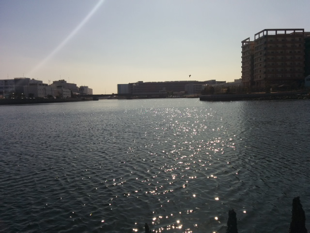 b0159713_14562174.jpg