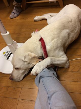 c0114121_02041.jpg