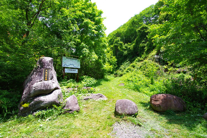 大滝遊歩道と原生林_d0102327_0295969.jpg