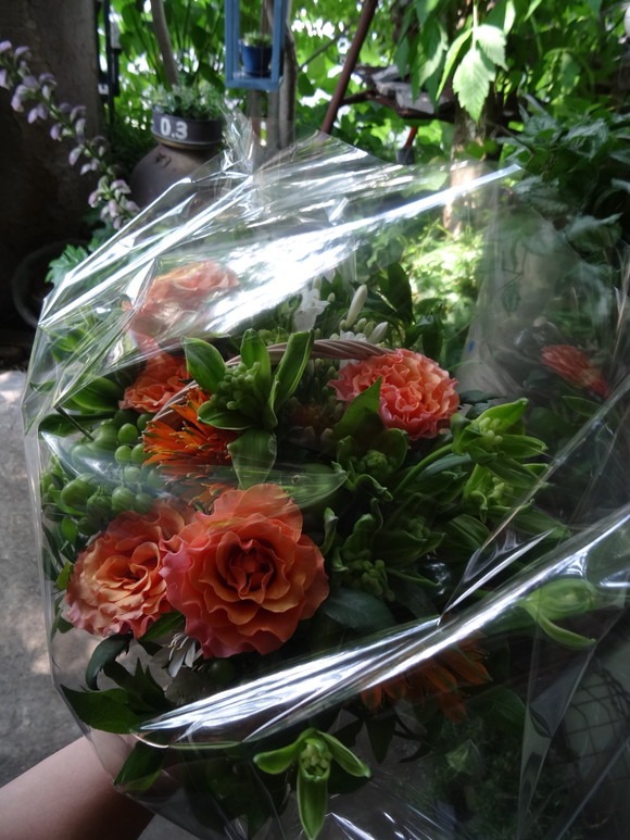 番ブル昆虫記_c0102228_21361258.jpg