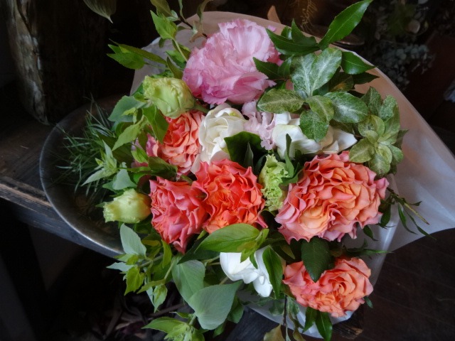 番ブル昆虫記_c0102228_2137295.jpg