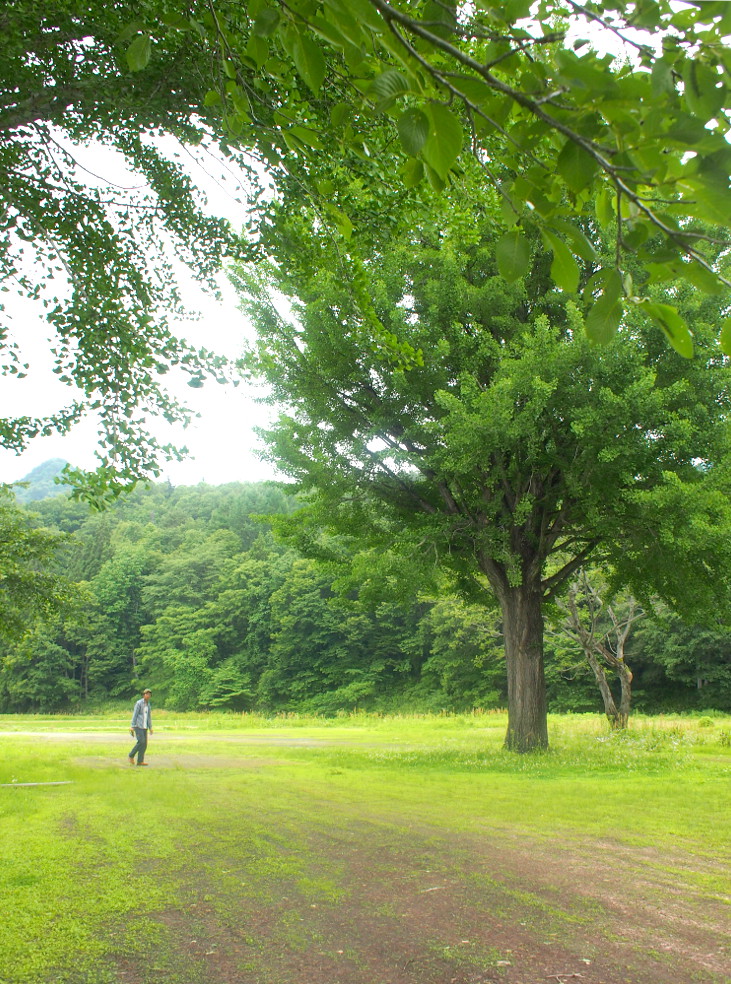 b0237338_11412227.jpg