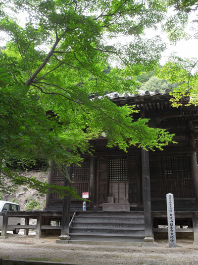 岡山 大瀧山福生寺の菩提樹 西法院のあじさいを愛でる ちょい古道具ライフ 岡山 大瀧山福生寺の菩提樹 西法院のあじさいを愛でる ちょい古道具ライフ