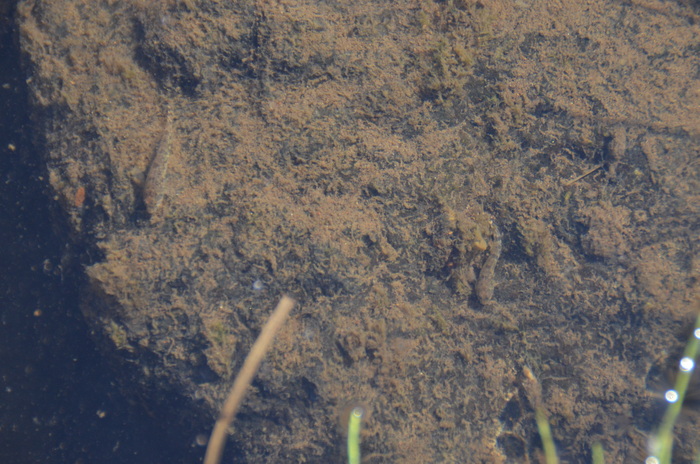 c0202242_926712.jpg