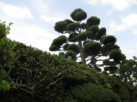 a0307846_2082980.jpg