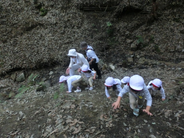 G幼稚園からが遠足に来てくれました。_b0132746_21200223.jpg