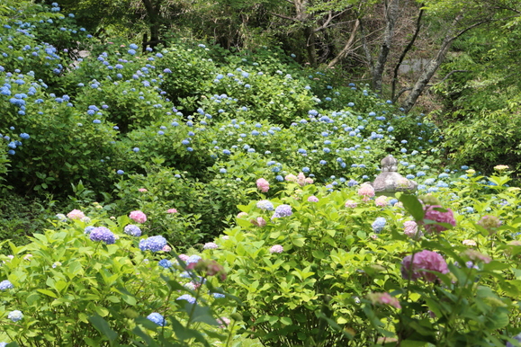 c0272958_21191647.jpg