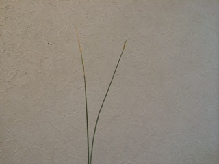 f0337058_8383038.jpg