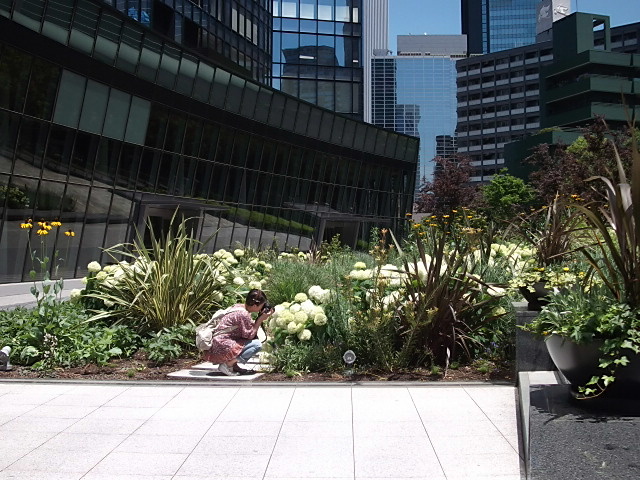 f0043559_10194350.jpg