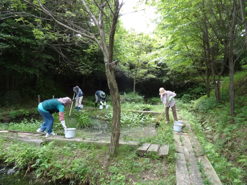 池の埋め戻し作業は重労働である　in　うみべの森　　　　　by　　　  (TATE-misaki)_c0108460_20150675.jpg