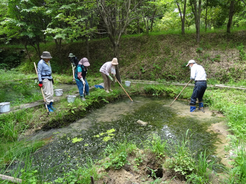 池の埋め戻し作業は重労働である　in　うみべの森　　　　　by　　　  (TATE-misaki)_c0108460_20150709.jpg