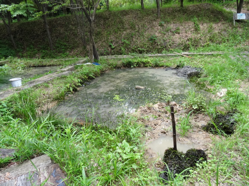 池の埋め戻し作業は重労働である　in　うみべの森　　　　　by　　　  (TATE-misaki)_c0108460_20150818.jpg