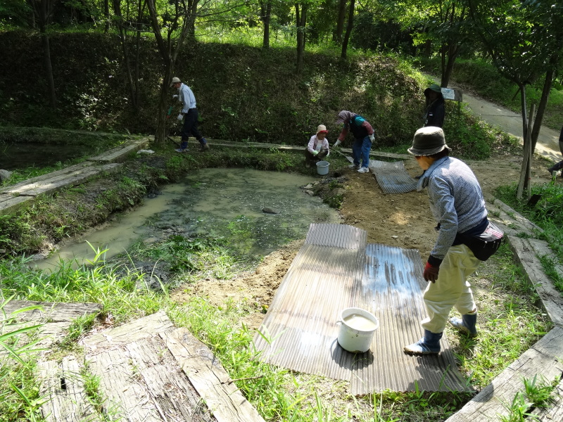 池の埋め戻し作業は重労働である　in　うみべの森　　　　　by　　　  (TATE-misaki)_c0108460_20221809.jpg