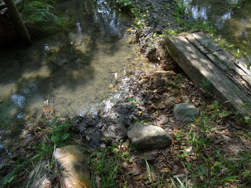 池の埋め戻し作業は重労働である　in　うみべの森　　　　　by　　　  (TATE-misaki)_c0108460_20221941.jpg
