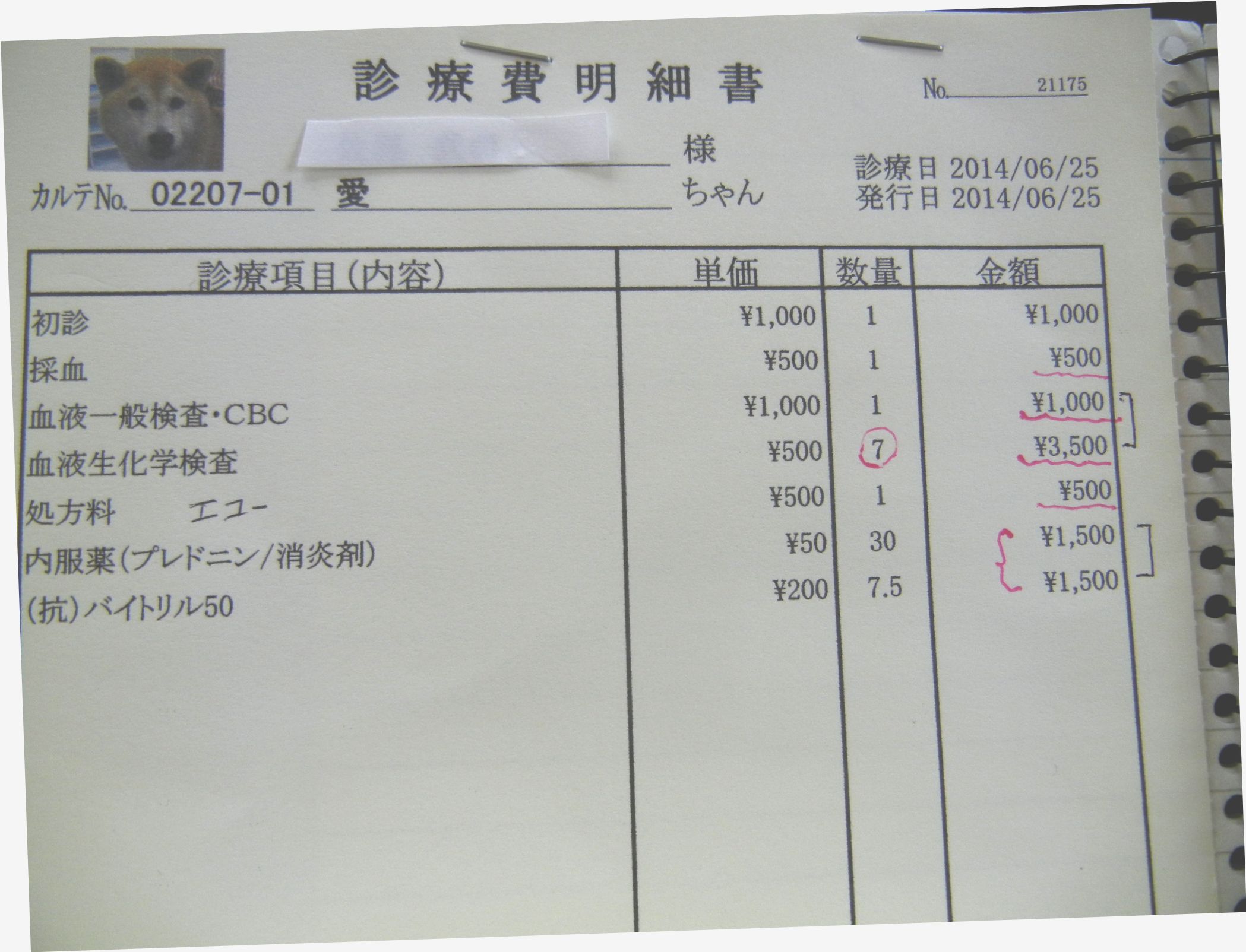’14,6,26(木)愛ちゃん、少し元気がありません!_f0060461_11284675.jpg