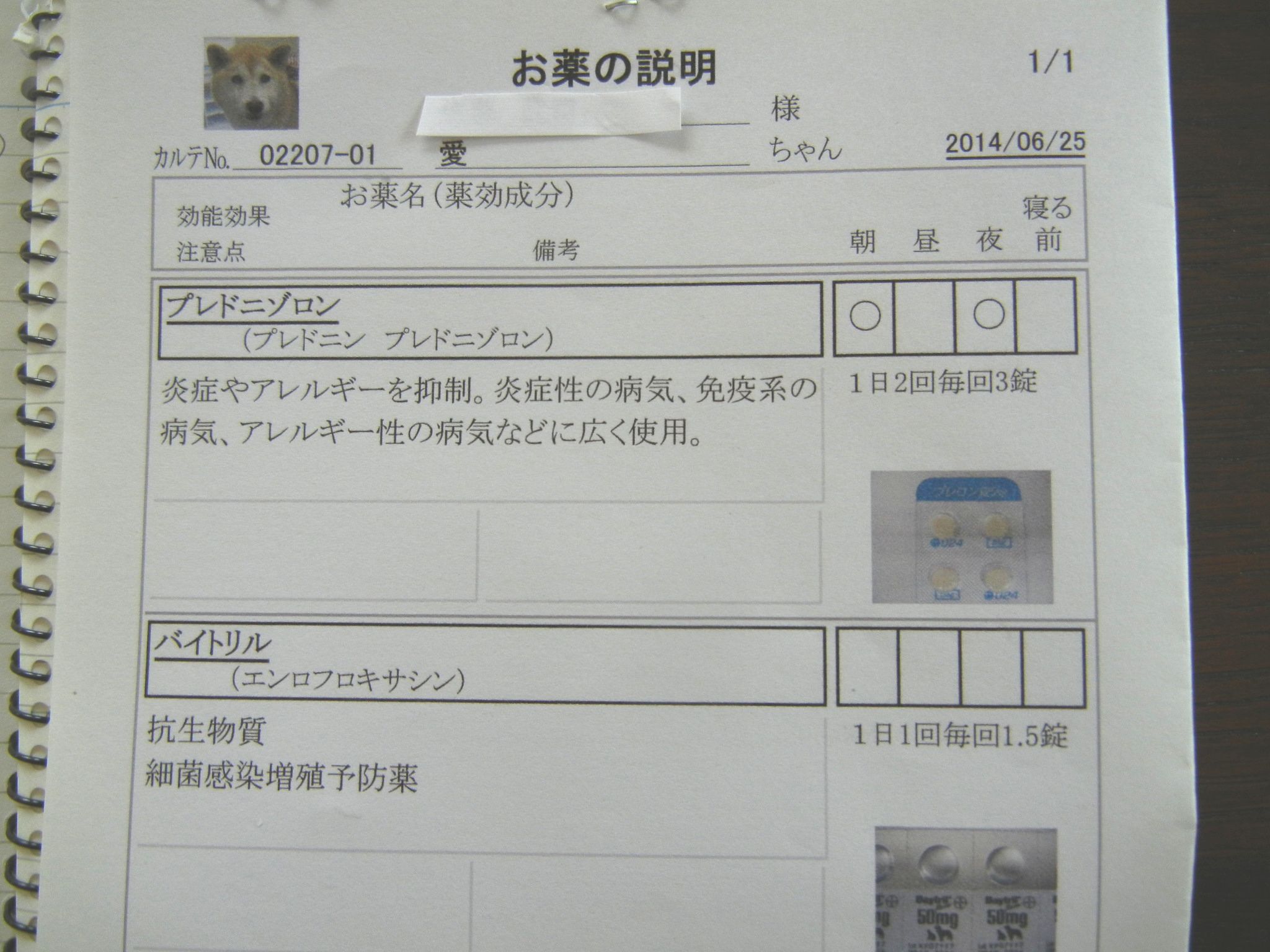 ’14,6,26(木)愛ちゃん、少し元気がありません!_f0060461_11291235.jpg