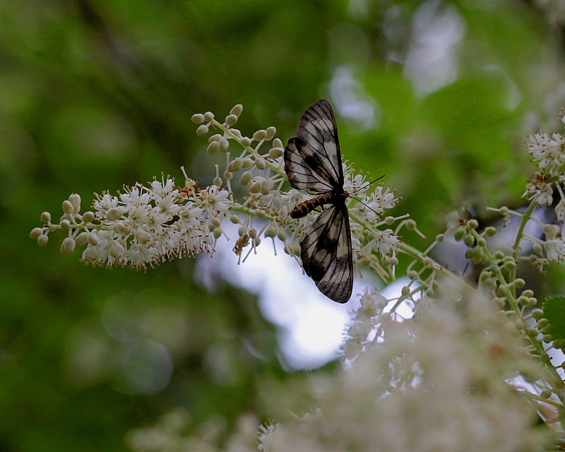 c0305565_18341567.jpg