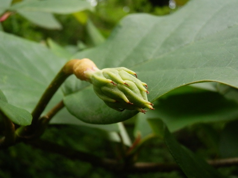 c0042869_72521.jpg